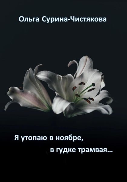 Обложка книги  «Я утопаю в ноябре, в гудке трамвая…»