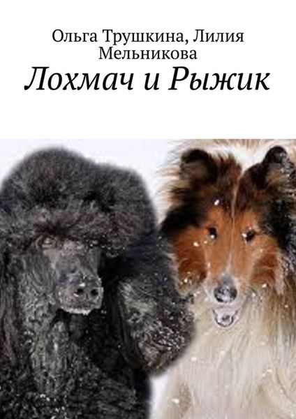 Обложка книги  «Лохмач и Рыжик»
