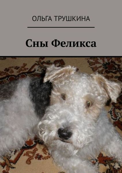 Обложка книги  «Сны Феликса»