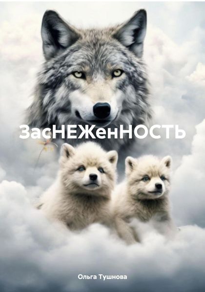 Обложка книги  «ЗасНЕЖенНОСТЬ»