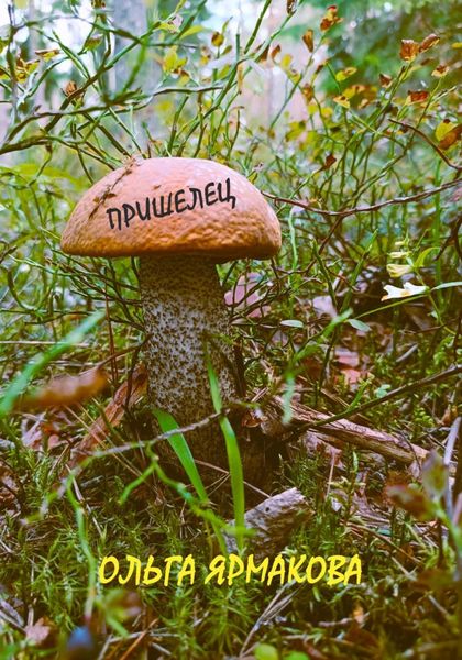 Обложка книги «Пришелец»
