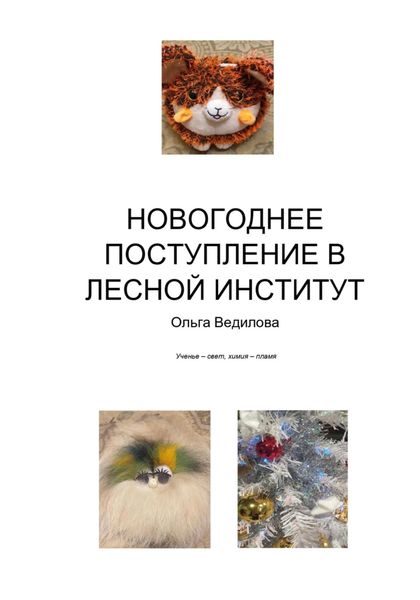 Обложка книги  «Новогоднее поступление в Лесной Институт»