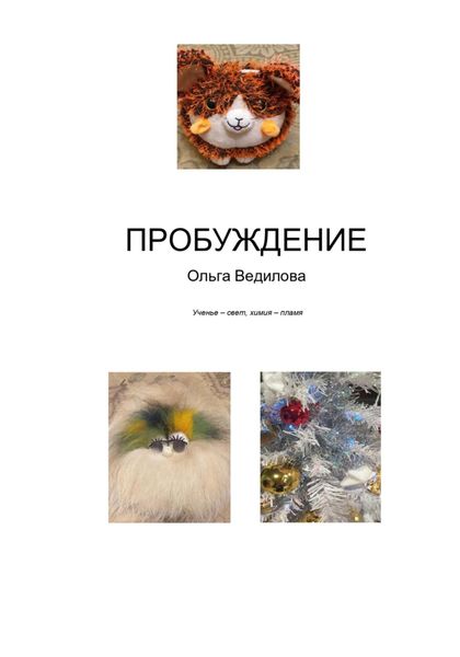 Обложка книги  «Пробуждение»