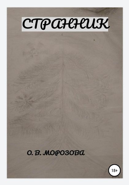 Обложка книги  «Странник»