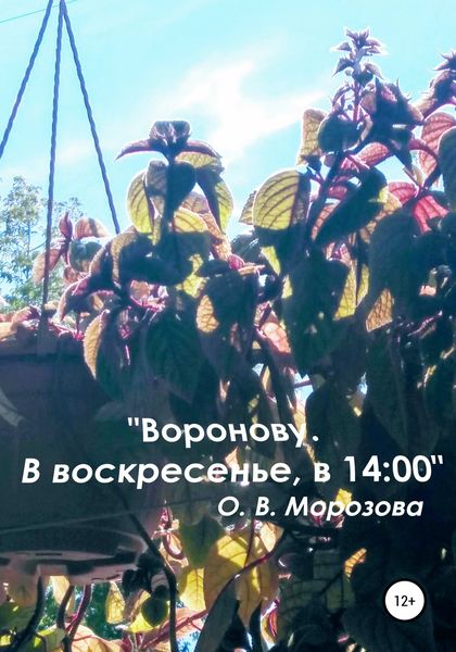 Обложка книги  ««Воронову. В воскресенье, в 14:00»»
