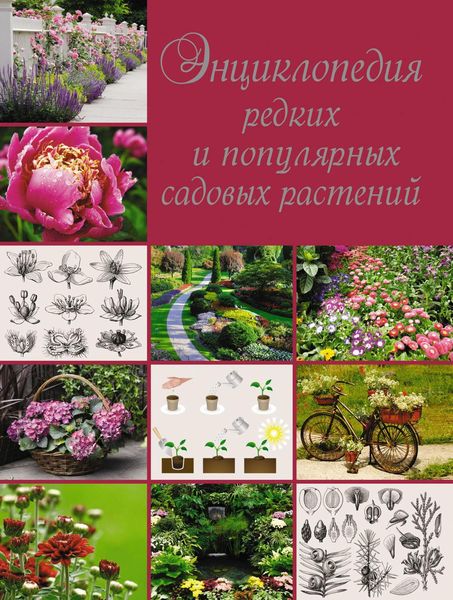 Обложка книги  «Энциклопедия редких и популярных садовых растений»
