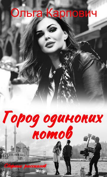 Обложка книги  «Город одиноких котов»