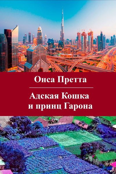 Обложка книги «Адская Кошка и принц Гарона»