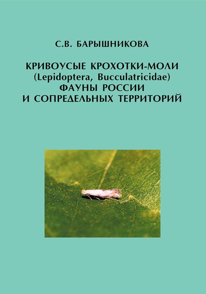 Обложка книги  «Кривоусые крохотки-моли (Lepidoptera, Bucculatricidae) фауны России и сопредельных территорий»