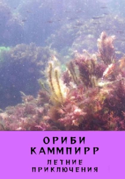 Обложка книги  «Летние приключения»