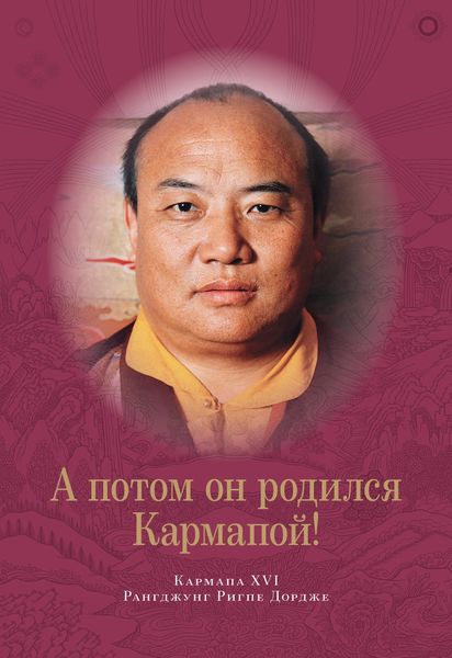 Обложка книги «А потом он родился Кармапой!»