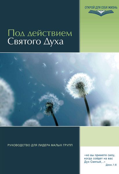 Обложка книги  «Под действием Святого Духа. Руководство для лидера малых групп»