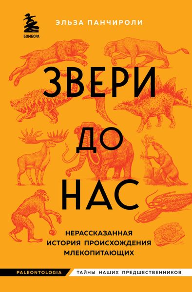 Обложка книги  «Звери до нас. Нерассказанная история происхождения млекопитающих»