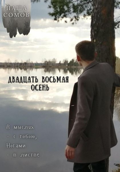 Обложка книги  «Двадцать восьмая осень»