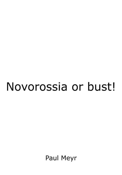 Обложка книги  «Novorossia or bust!»