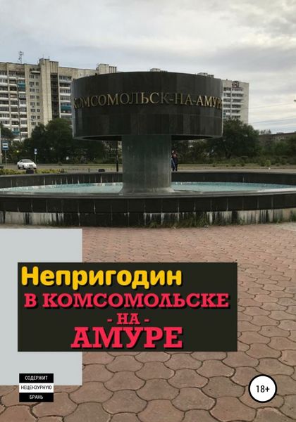 Обложка книги  «Непригодин в Комсомольске-на-Амуре»