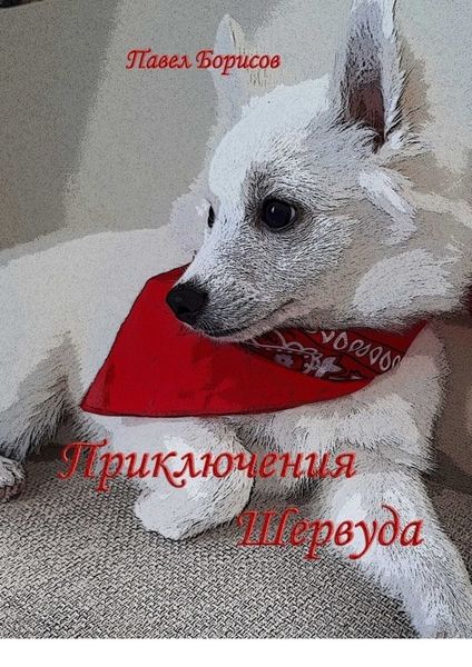 Обложка книги «Приключения Шервуда»