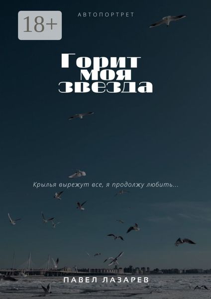 Обложка книги «Горит моя звезда»