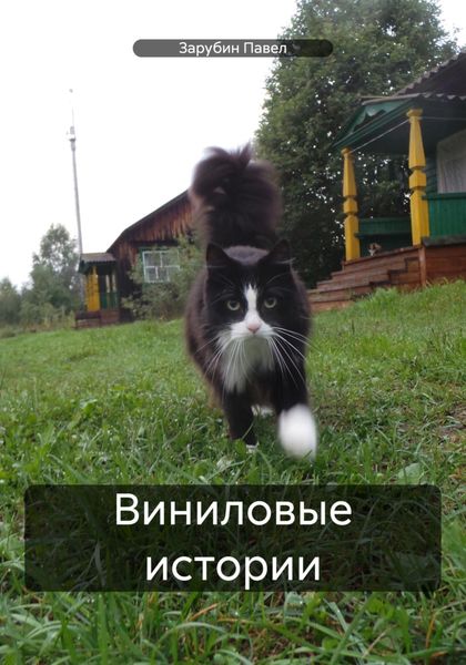Обложка книги «Виниловые истории»