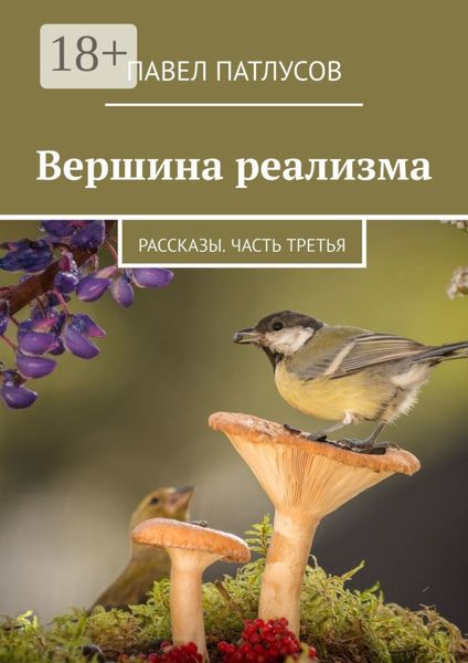 Обложка книги  «Вершина реализма. Рассказы. Часть третья»