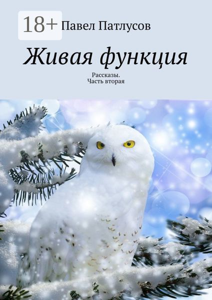 Обложка книги  «Живая функция. Рассказы. Часть вторая»