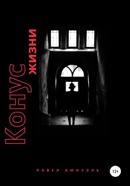 Обложка книги  «Конус жизни»