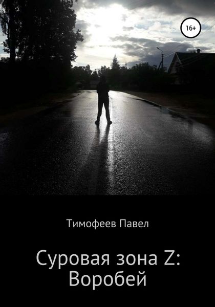 Обложка книги  «Суровая зона Z: Воробей»