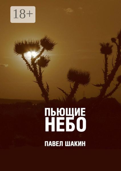 Обложка книги  «Пьющие небо»
