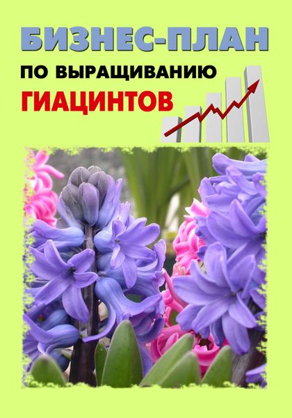 Обложка книги  «Бизнес-план по выращиванию гиацинтов»