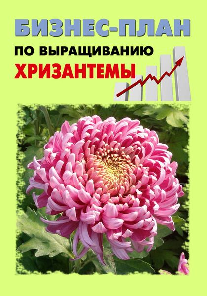 Обложка книги  «Бизнес-план по выращиванию хризантемы»