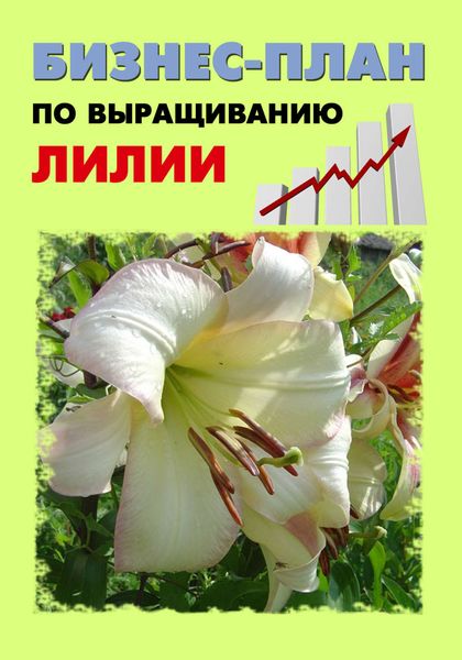 Обложка книги  «Бизнес-план по выращиванию лилии»