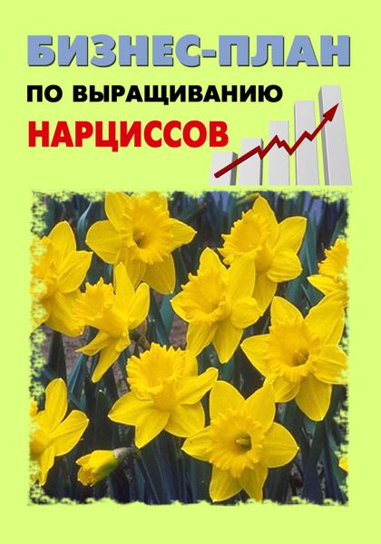 Обложка книги  «Бизнес-план по выращиванию нарциссов»