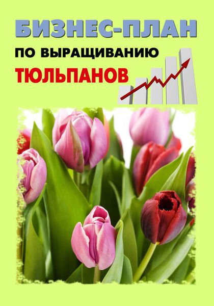 Обложка книги  «Бизнес-план по выращиванию тюльпанов»