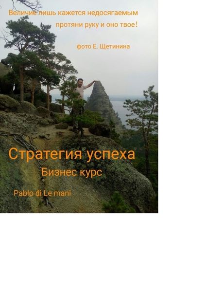 Обложка книги «Стратегия успеха»