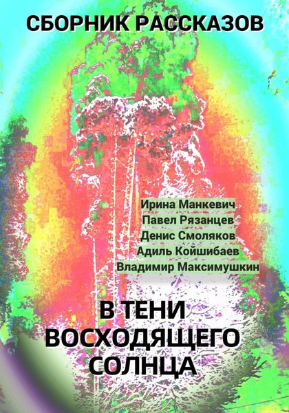 Обложка книги  «В тени восходящего солнца»