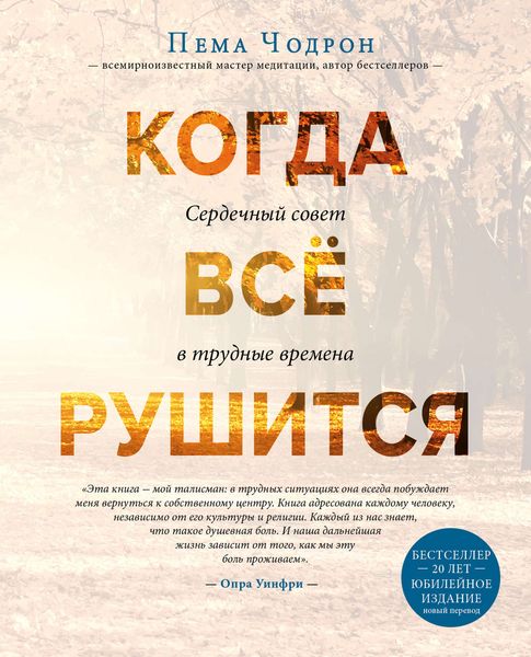 Обложка книги «Когда все рушится»