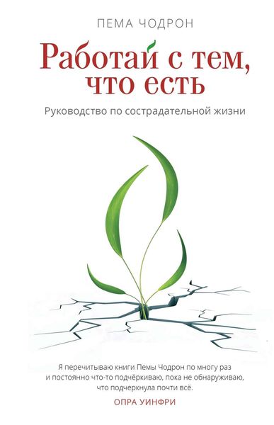 Обложка книги  «Работай с тем, что есть. Руководство по сострадательной жизни»
