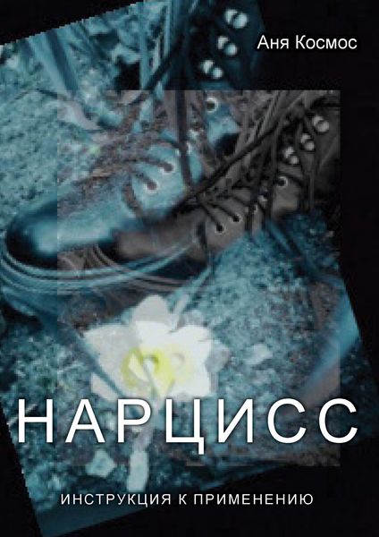 Обложка книги  «Нарцисс. Инструкция к применению»