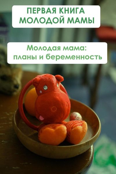 Обложка книги  «Молодая мама: планы и беременность»