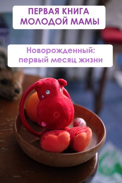 Обложка книги  «Новорождённый: первый месяц жизни»