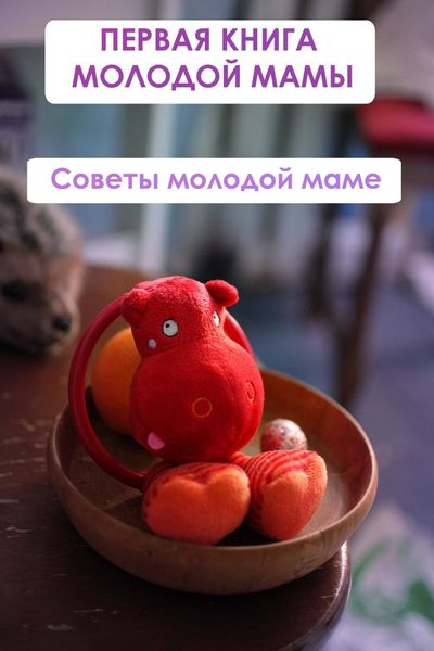 Обложка книги  «Советы молодой маме»