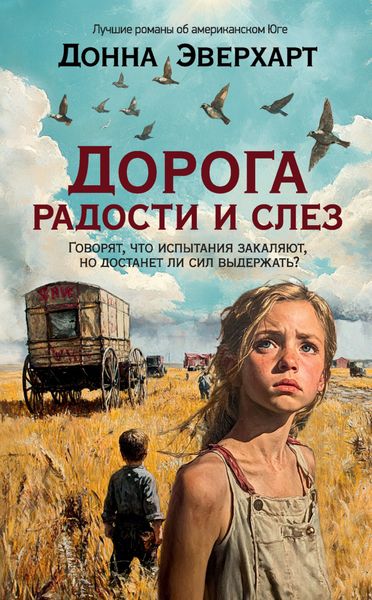 Обложка книги  «Дорога радости и слез»