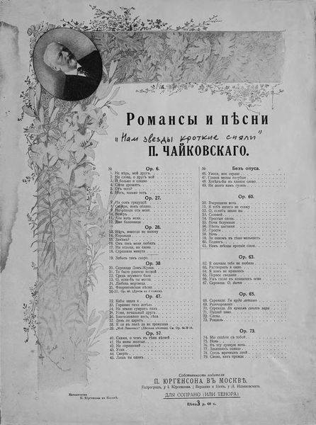 Обложка книги  «Нам звезды кроткие сияли»