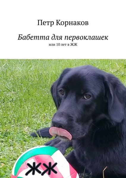 Обложка книги  «Бабетта для первоклашек, или 10 лет в ЖЖ»