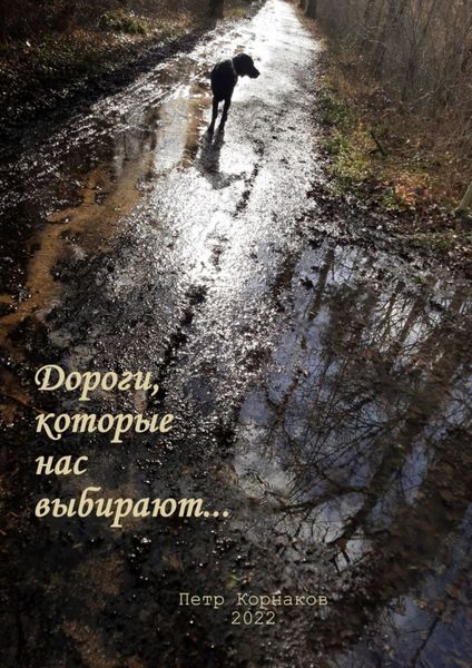 Обложка книги  «Дороги, которые нас выбирают…»