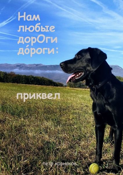 Обложка книги  «Нам любые дoрОги дOрoги: приквел»