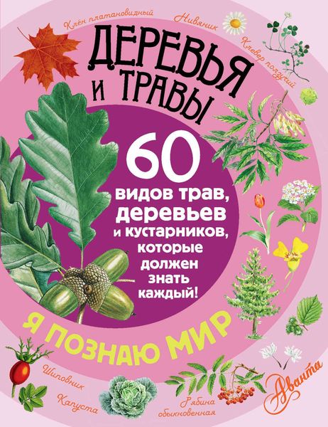 Обложка книги  «Деревья и травы. 60 видов трав, деревьев и кустарников, которые должен знать каждый»