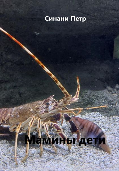 Обложка книги «Мамины дети»