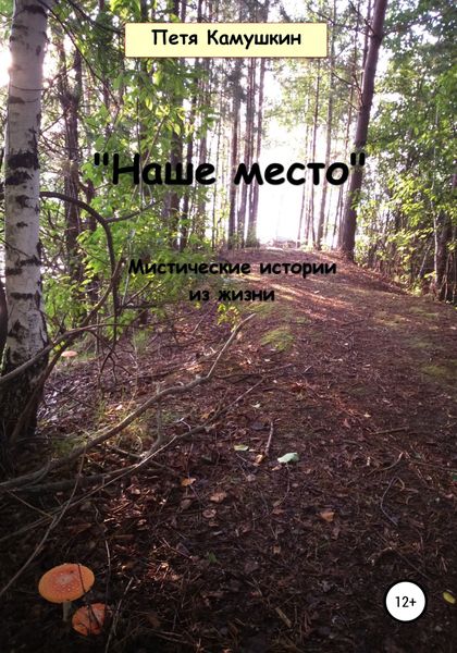 Обложка книги «Наше место»