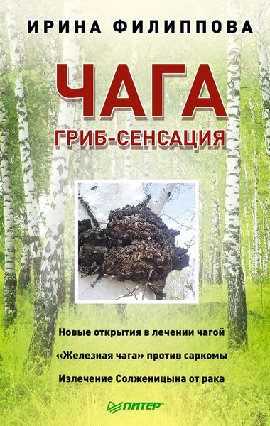 Обложка книги  «Чага. Гриб-сенсация»